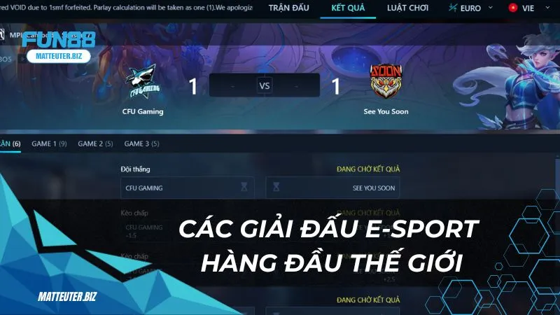 TF E-sport - Sân chơi cá cược cho các giải đấu hàng đầu 2 Các giải đấu E-sport hàng đầu thế giới