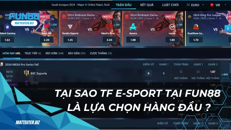 TF E-sport - Sân chơi cá cược cho các giải đấu hàng đầu 1 Tại sao TF E-sport tại Fun88 là lựa chọn hàng đầu cho người chơi ?